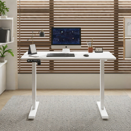 Double Beam Adjustable Electric Standing Desk